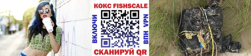 Cocaine FishScale  сколько стоит  Шатура 