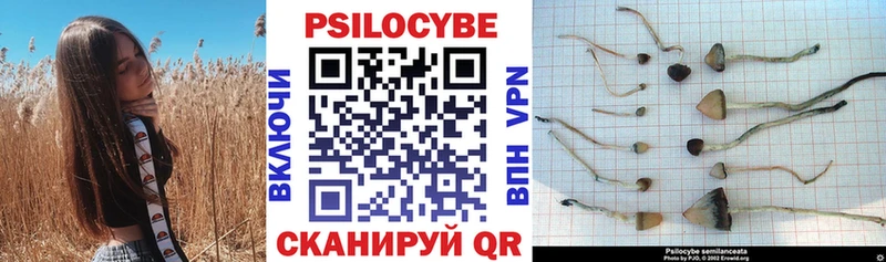 Псилоцибиновые грибы мухоморы  Шатура 