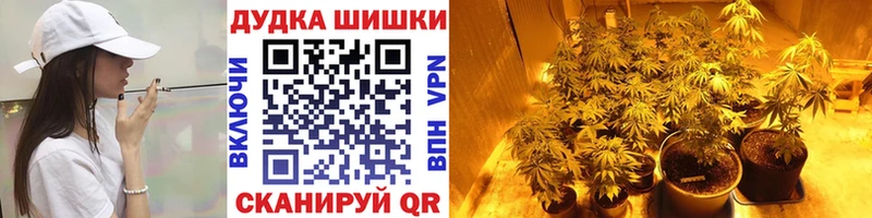 Конопля индика  закладки  Шатура 